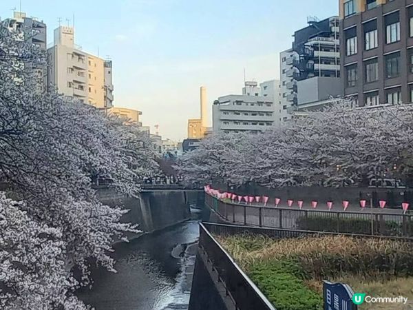 黑色眼睛👀沿途與你有過一幀風景