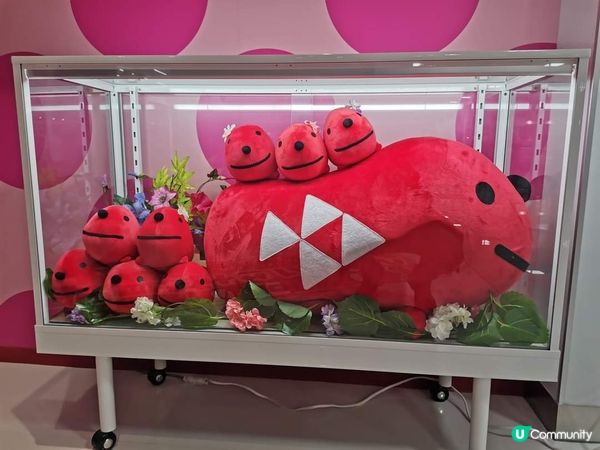 《靜岡伊豆明太子主題公園》  位於公路旁的明太子觀光工廠，大...