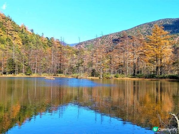 上高地~『神的故鄉!』拜訪上高地，真的沒可能不去【明神池】,...