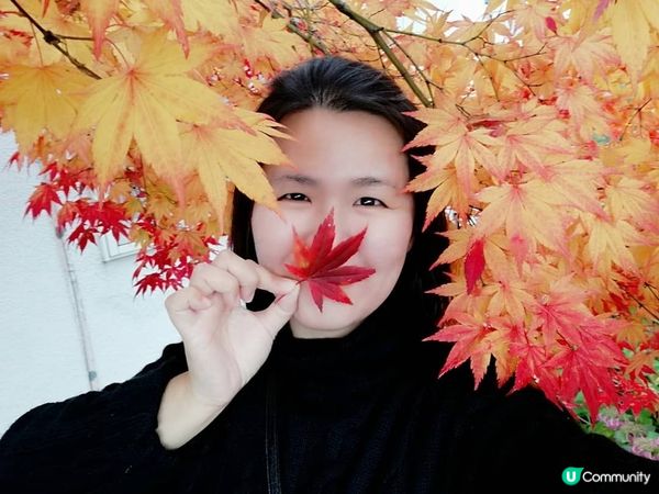 最開心係去日本北海道睇紅葉, 第一次同媽咪去, 果度天氣好清...