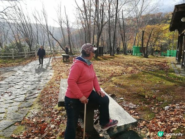 最開心係去日本北海道睇紅葉, 第一次同媽咪去, 果度天氣好清...