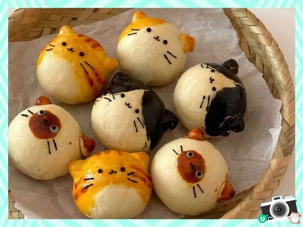 中秋搞搞震之貓咪蛋黃酥