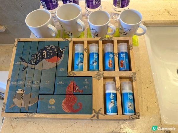 長隆橫琴灣酒店，海景房超正！🐬🤩