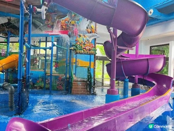 長隆橫琴灣酒店，海景房超正！🐬🤩