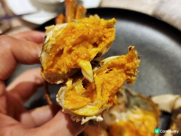 豐腴膏黃大閘蟹就在此時