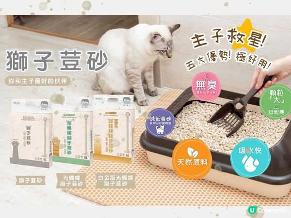 全新功能性豆腐貓砂上市—獅子荳砂🐈