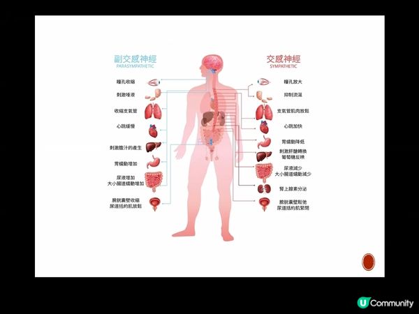 葉大為博士免費輔導心理學講座重點分享！🧠
