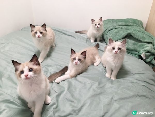 時間過得好快。細細個真係好得意❤️💙