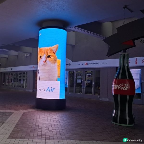 歡迎關注我嘅戶口､訂閱我嘅YouTube頻道, follow...