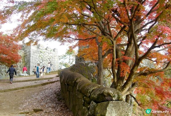 關西秘境-現實版天空之城