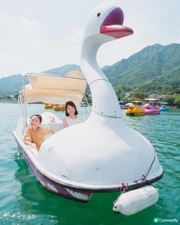 香港大美督🦢坐天鵝船仔嘆湖景🦢