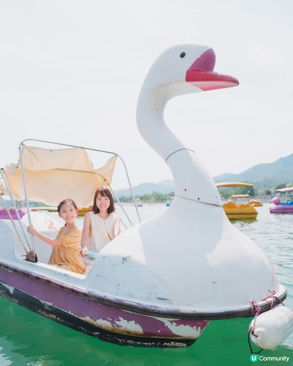 香港大美督🦢坐天鵝船仔嘆湖景🦢