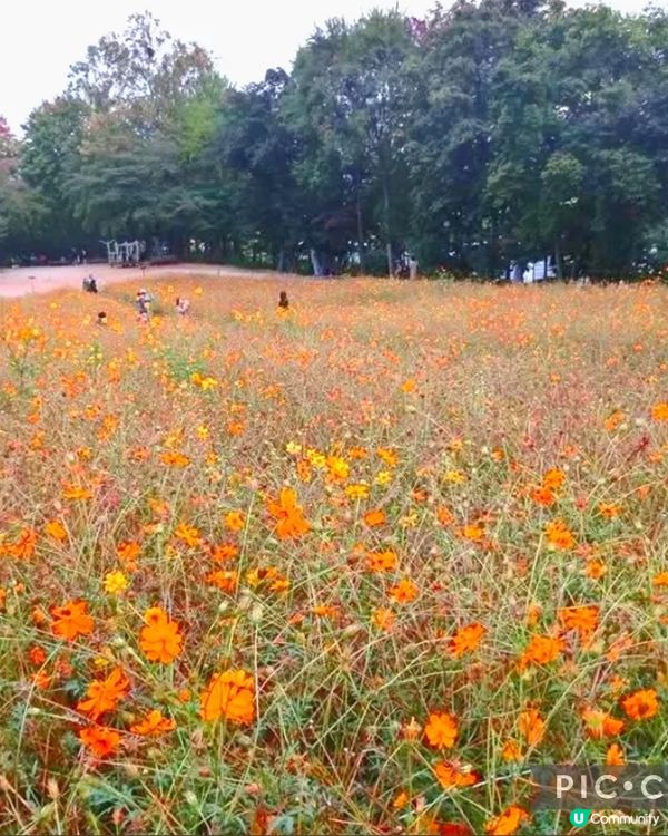 韓國奧林匹克公園