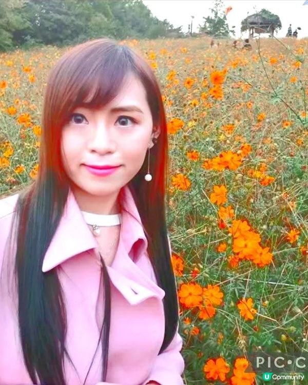 韓國奧林匹克公園