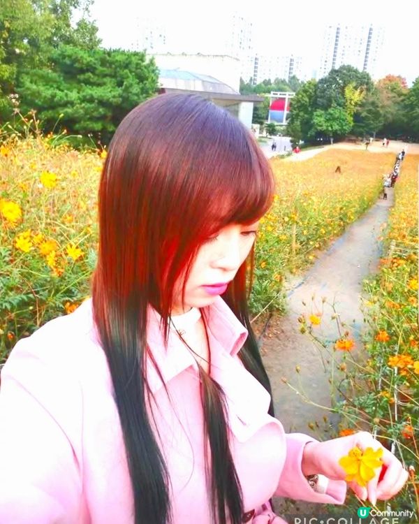 韓國奧林匹克公園