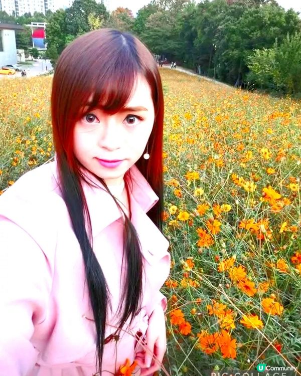 韓國奧林匹克公園