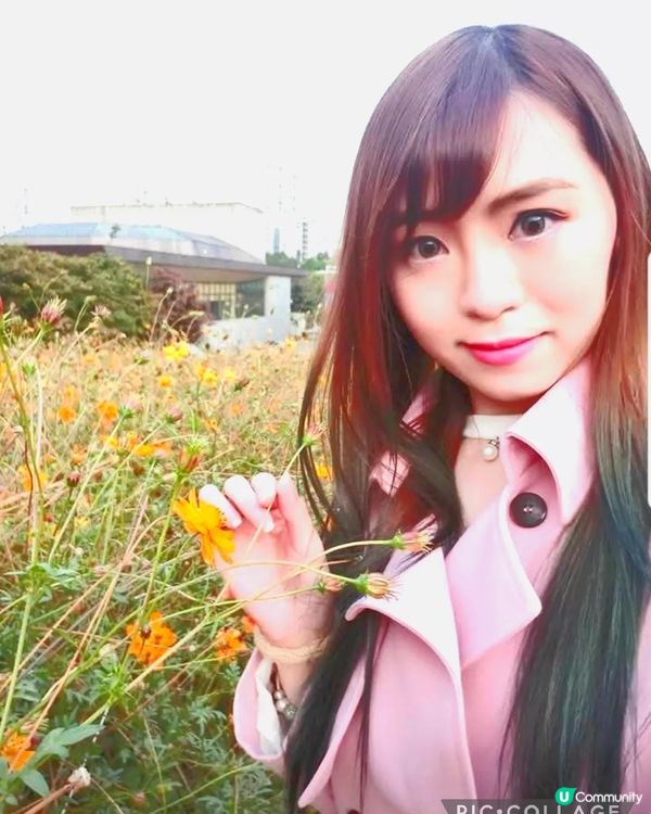 韓國奧林匹克公園