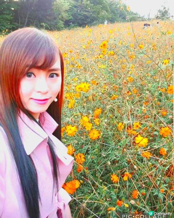 韓國奧林匹克公園