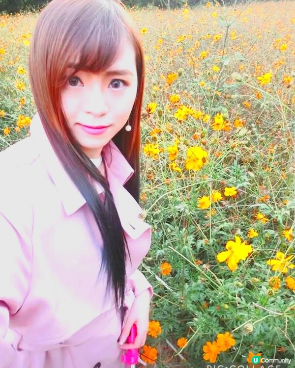 韓國奧林匹克公園