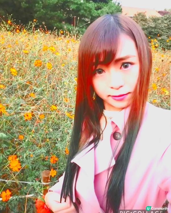 韓國奧林匹克公園