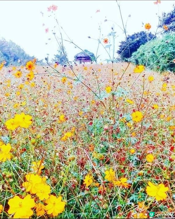 韓國奧林匹克公園