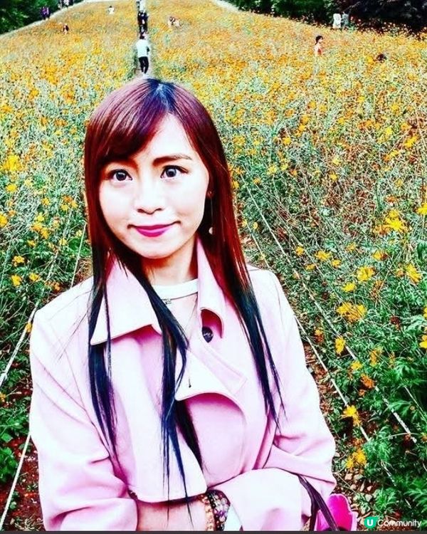 韓國奧林匹克公園