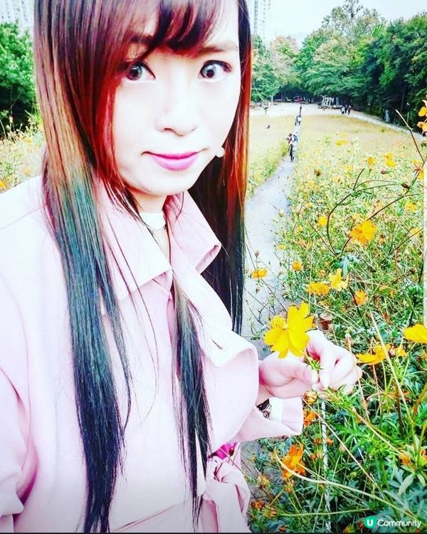 韓國奧林匹克公園