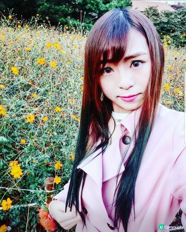 韓國奧林匹克公園