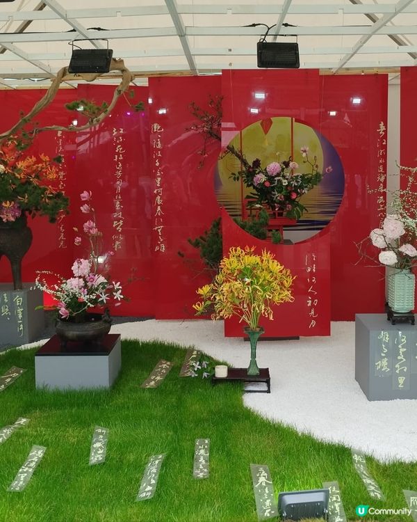 ## 花展今晚閉幕！🌸 爭妍鬥豔，快啲去睇！