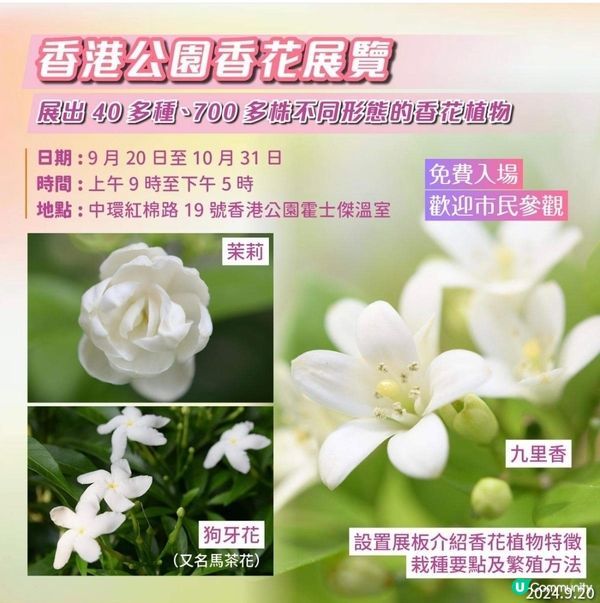 香港公園：香花展覽