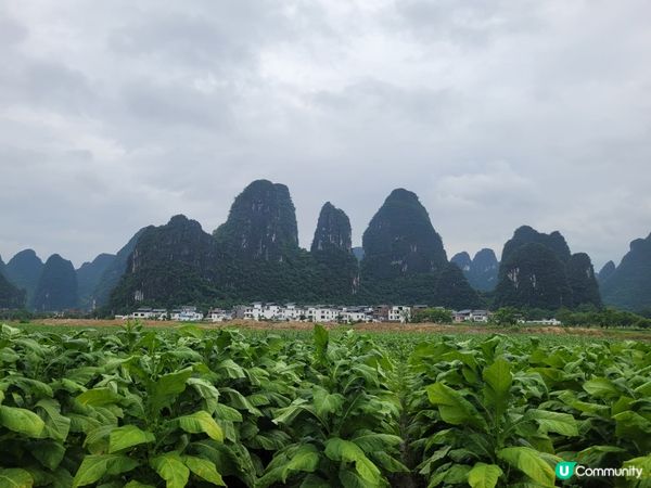鐘山水墨田園遊🏞️！賀州世外桃源😍