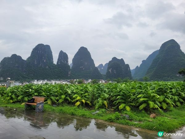 鐘山水墨田園遊🏞️！賀州世外桃源😍