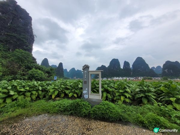 鐘山水墨田園遊🏞️！賀州世外桃源😍