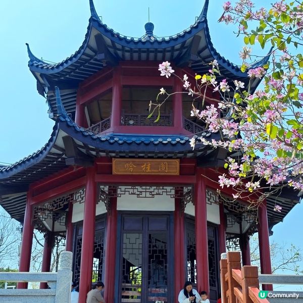 深圳江南風味秘景打咭公園