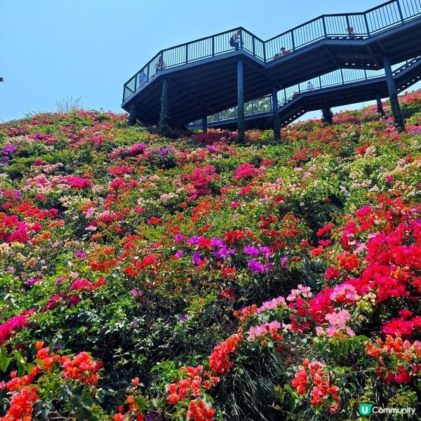 深圳江南風味秘景打咭公園