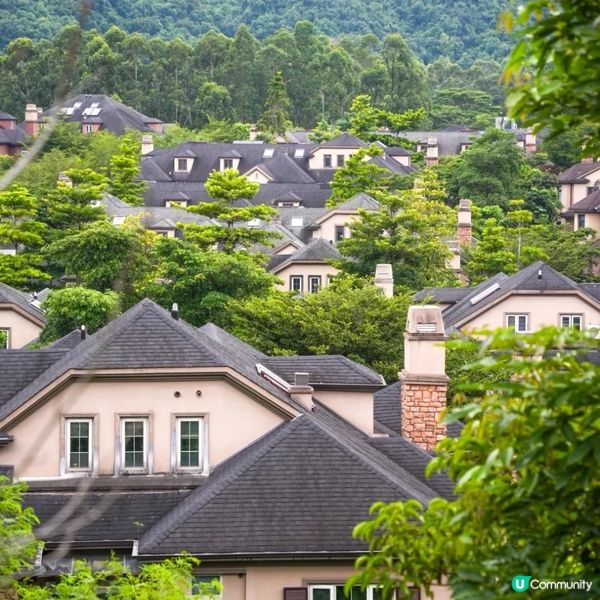 深圳江南風味秘景打咭公園