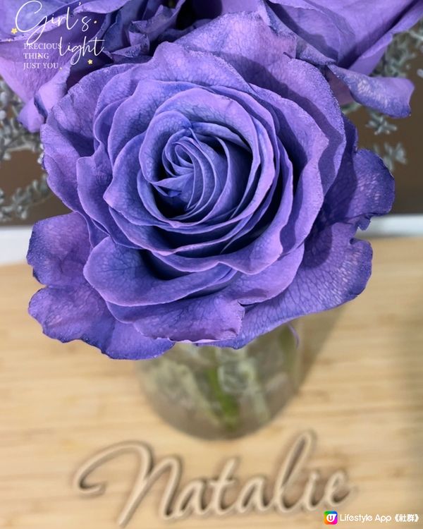 😍紫色嘅厄瓜多爾玫瑰