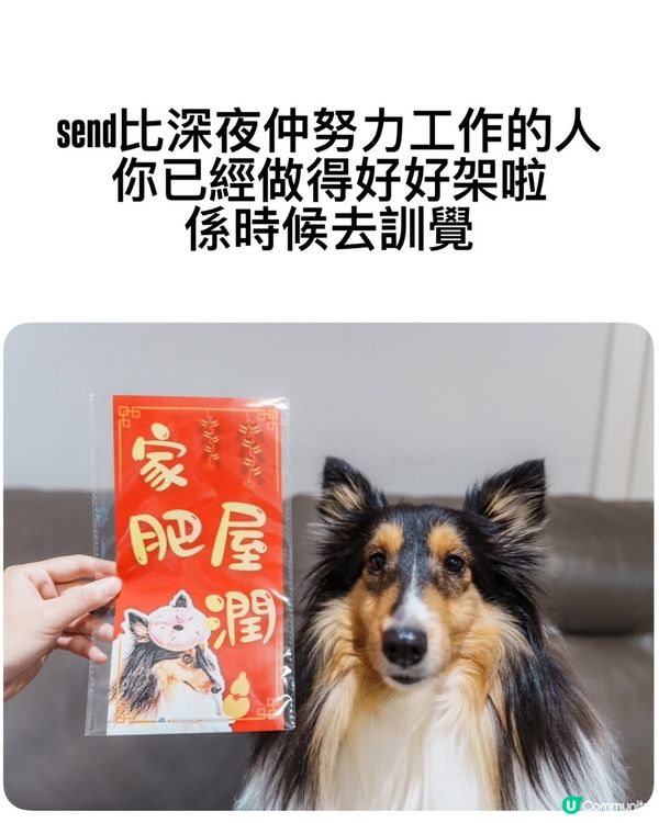 聽日有排你做🤡‼️