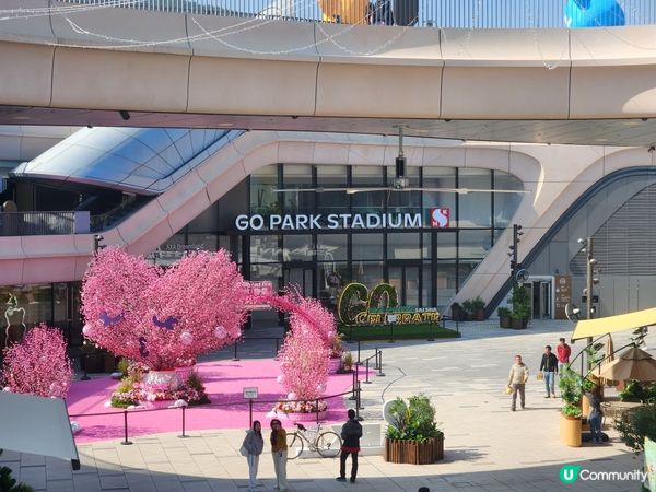 ## 西沙新地標，玩樂體驗齊晒！🤩