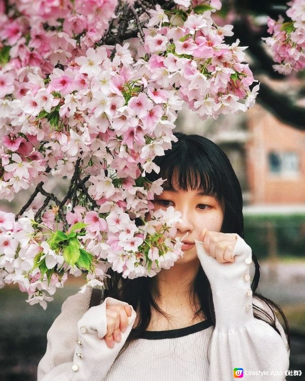 【🇯🇵櫻花季】人像攝影參考