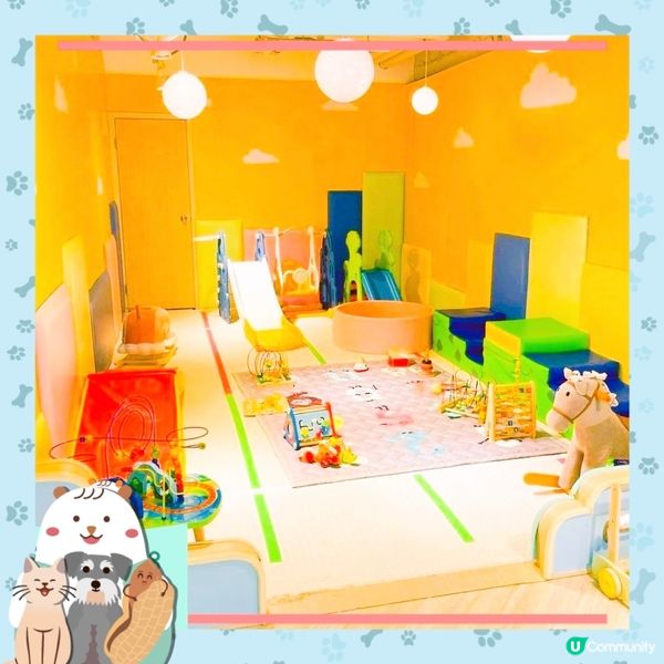 大樹先生之家🏠荔枝角店：6000呎親子樂園，沙池、波波池、滑