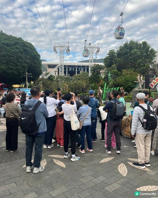 即刻去海洋公園！🐼🐧🤩