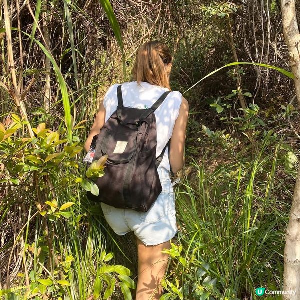 行山冷門路線 - 風門山 📸