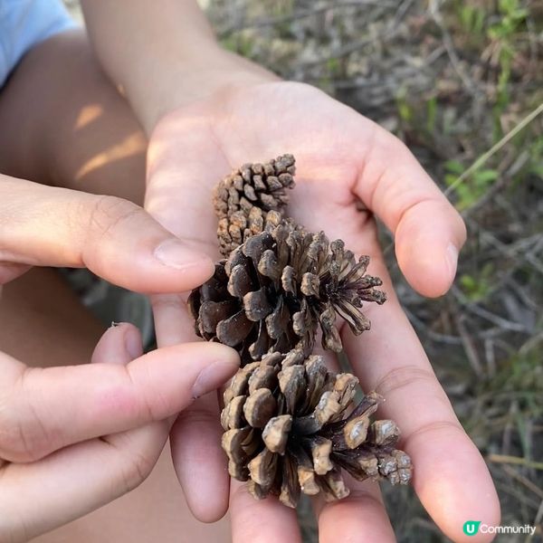 行山冷門路線 - 風門山 📸