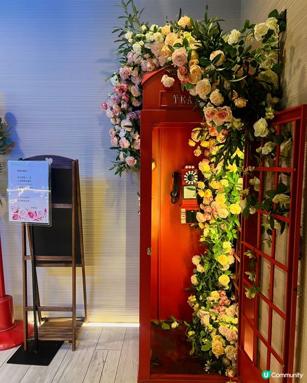 旺角聖誕大餐🎄  人氣爆燈！