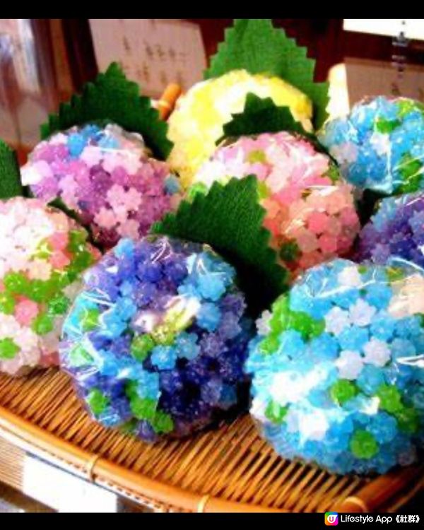 長居植物園的繡球花Fair~用金平糖鼓勵你在雨天到訪❣️