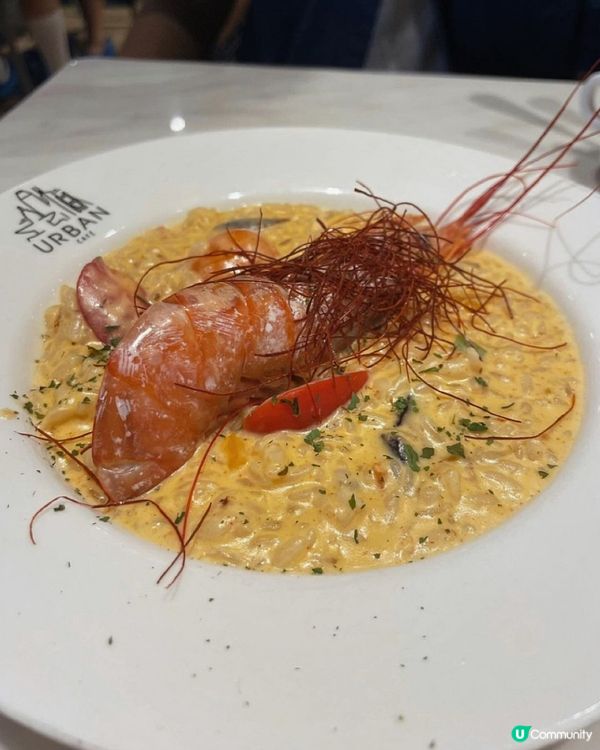 觀塘貓Cafe🐱🐱