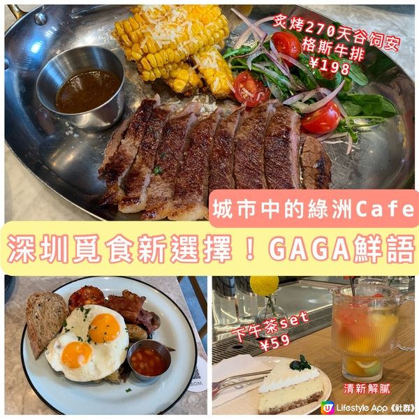 深圳覓食新選擇！GAGA鮮語輕食茶飲，水果茶清新解膩