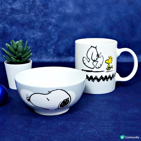 款款都係$79 卡通陶瓷碗連杯套裝