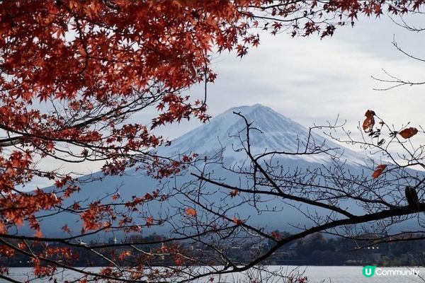 🇯🇵 東京倒數 ✈️